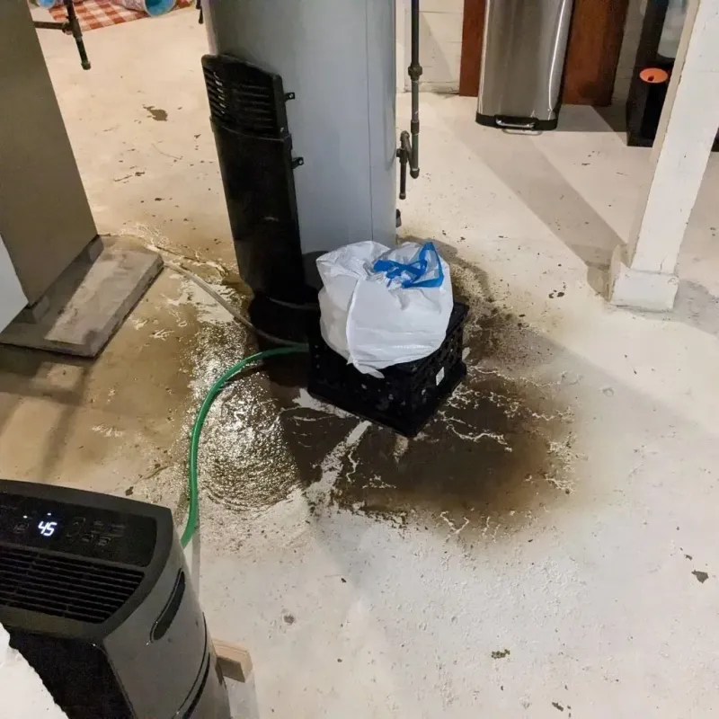Sewage Backup Cleanup Service in Paterson, NJ